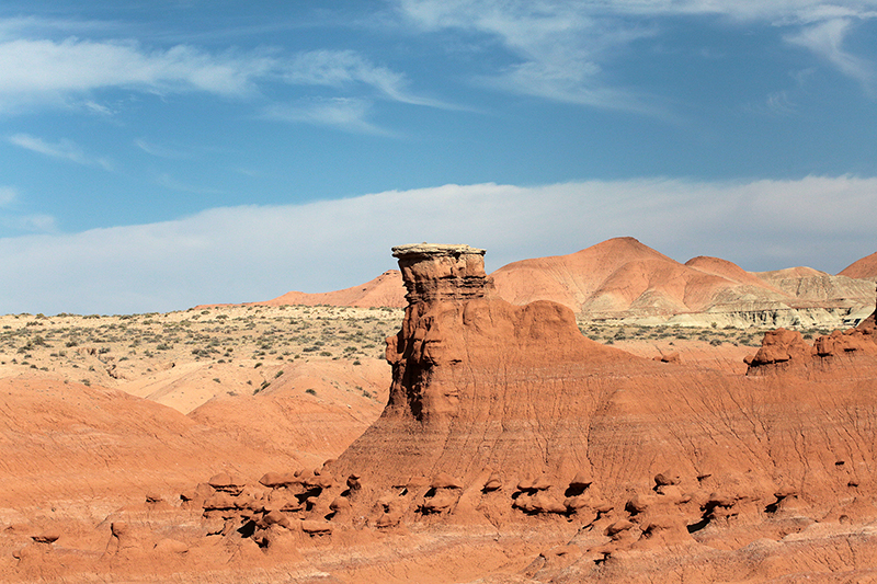 Bison : Antelope Island : Utah : Landscape Photos : Richard Moore : Photographer